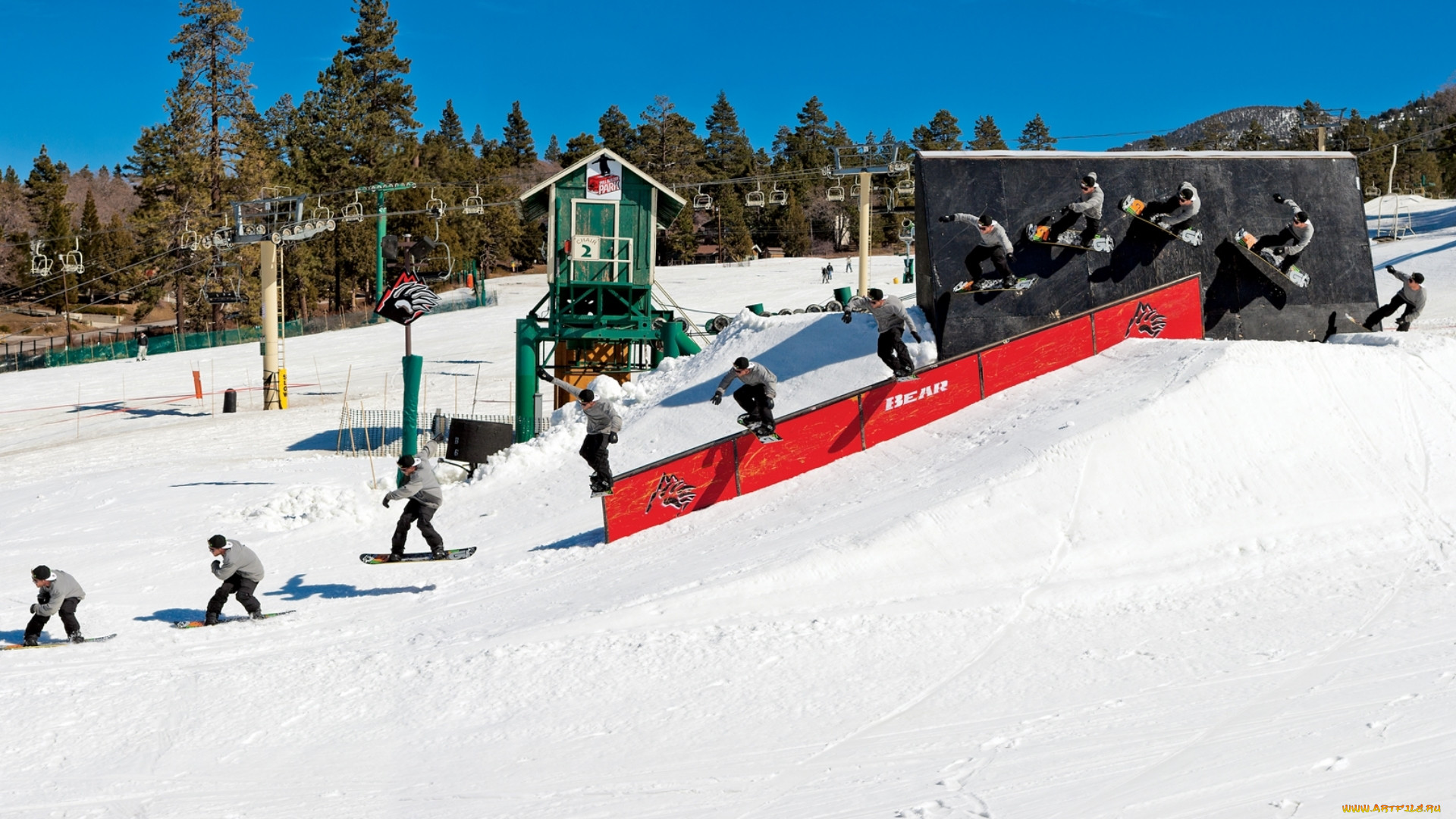 , , bear, mountain, transworld, snowboarding